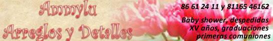 Salones eventos, Eventos Monterrey, boda monterrey, musica bodas, banquetes bodas, novias, tips boda, organizar boda